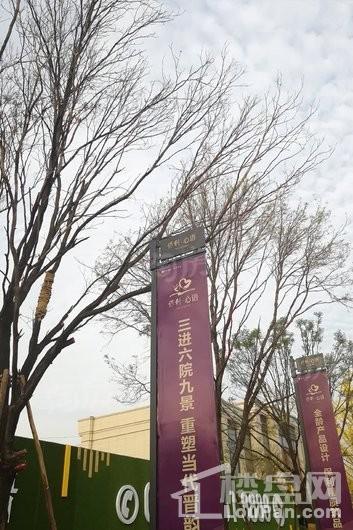 保利心语实景图