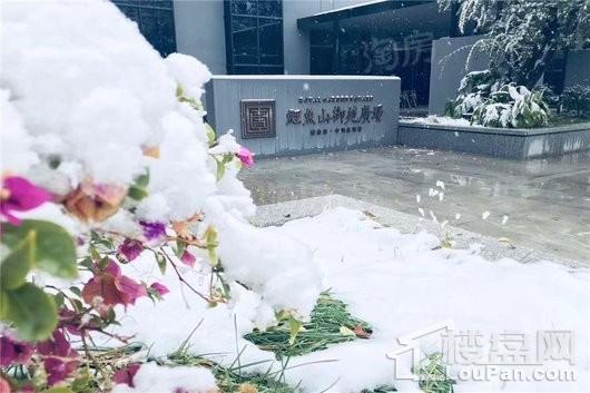 鲤鱼山御苑广场实景图