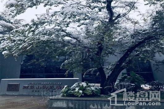 鲤鱼山御苑广场实景图