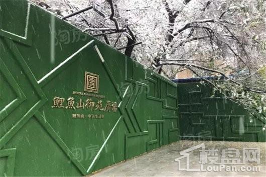 鲤鱼山御苑广场实景图