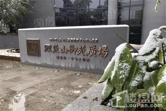 鲤鱼山御苑广场实景图
