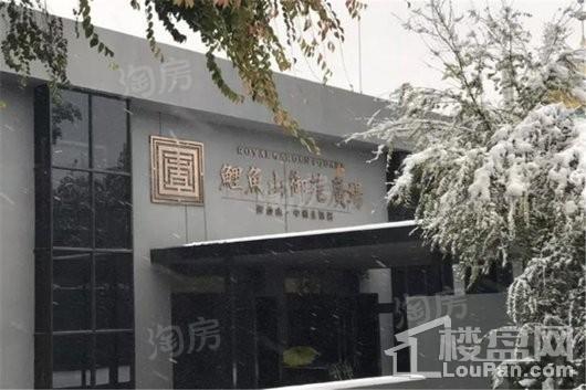 鲤鱼山御苑广场实景图