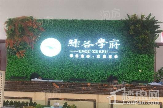 兰庭绿谷学府实景图