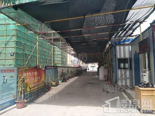信达绿城小区实景图