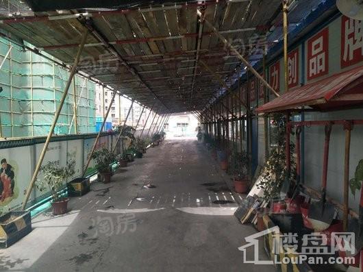 信达绿城小区实景图