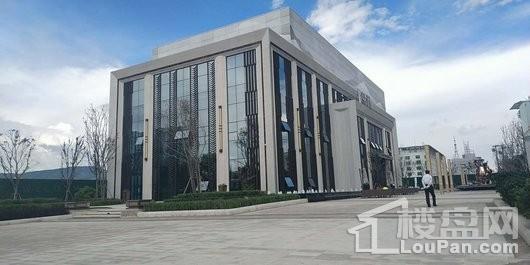 红星天阙实景图