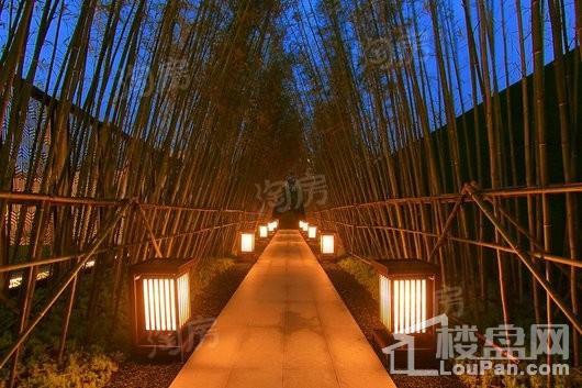 石榴·盐渎院子实景图