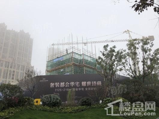 碧桂园·铂金华庭实景图
