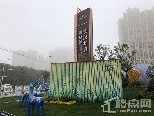 碧桂园·铂金华庭实景图