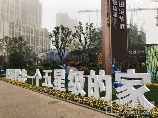 碧桂园·铂金华庭实景图