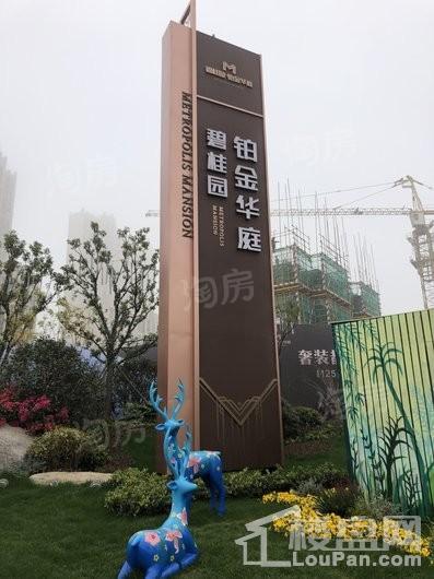 碧桂园·铂金华庭实景图