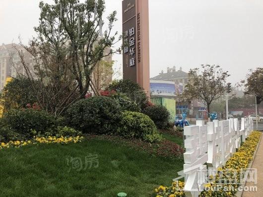 碧桂园·铂金华庭实景图