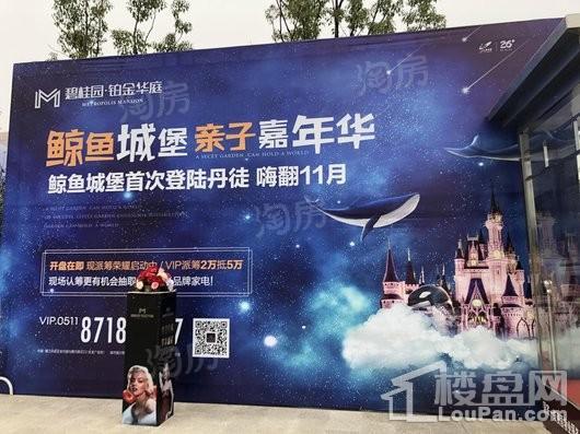 碧桂园·铂金华庭实景图