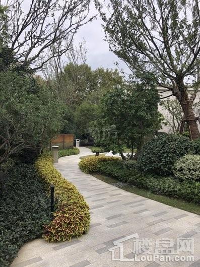 镇江印实景图