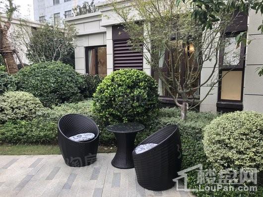 镇江印实景图