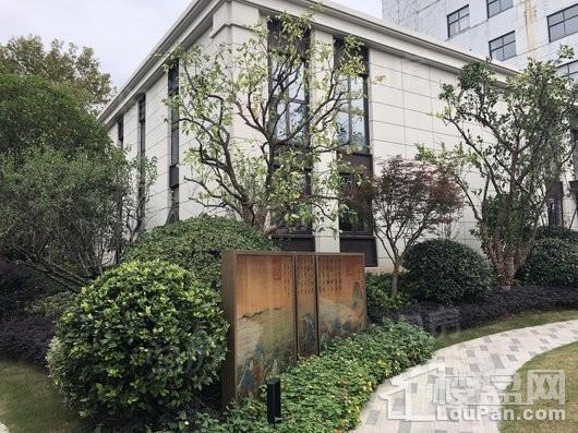 镇江印实景图