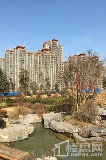 实景图