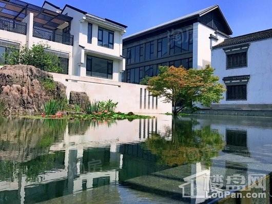 江南岸实景图