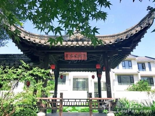 江南岸实景图