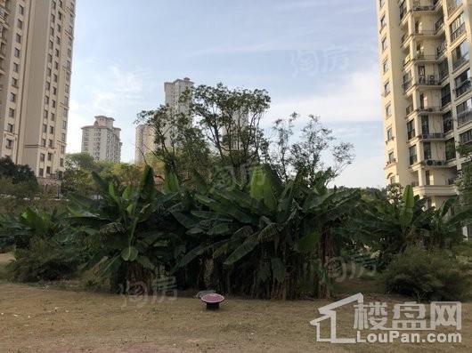 优山美地品智实景图