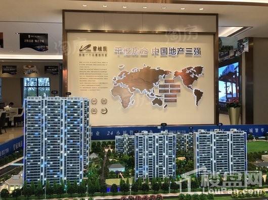 碧桂园·滨江华府实景图