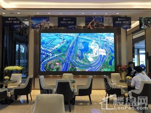 碧桂园·滨江华府实景图