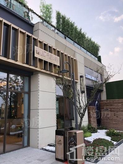 碧桂园·滨江华府实景图