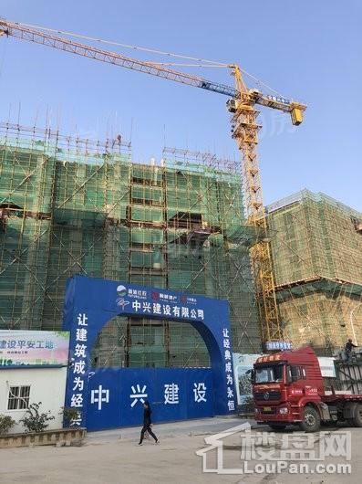 珑悦府实景图