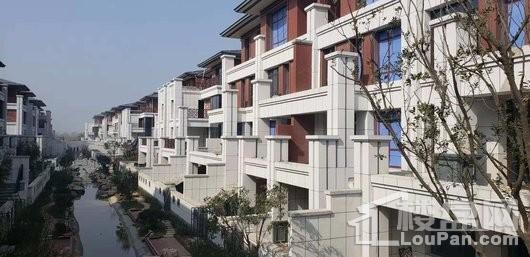 鸿顺御龙湾实景图