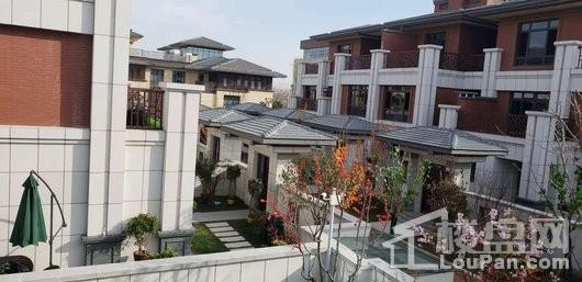 鸿顺御龙湾实景图