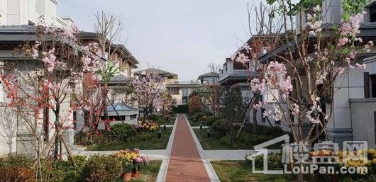 鸿顺御龙湾实景图