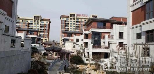 鸿顺御龙湾实景图