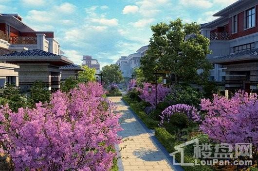 鸿顺御龙湾效果图