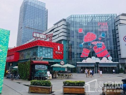 珠江悦湖国际配套图