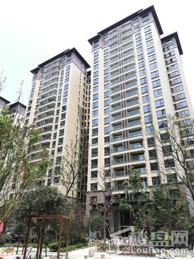 太行瑞宏金沙城实景图