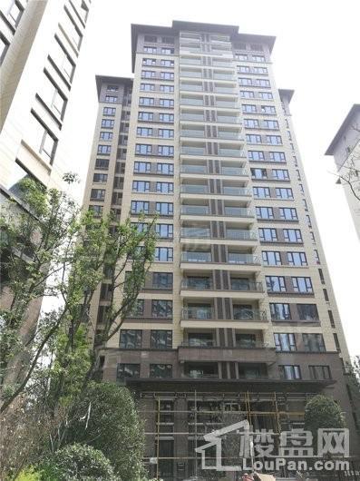 太行瑞宏金沙城实景图