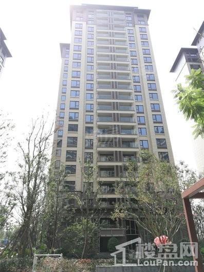 太行瑞宏金沙城实景图