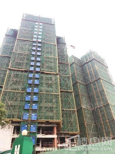 碧桂园沁云里实景图