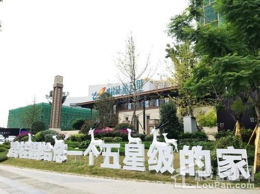 碧桂园沁云里实景图