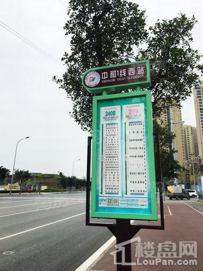 周边配套图
