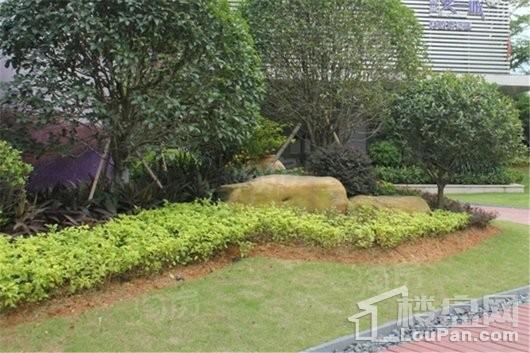 凯景公园里实景图