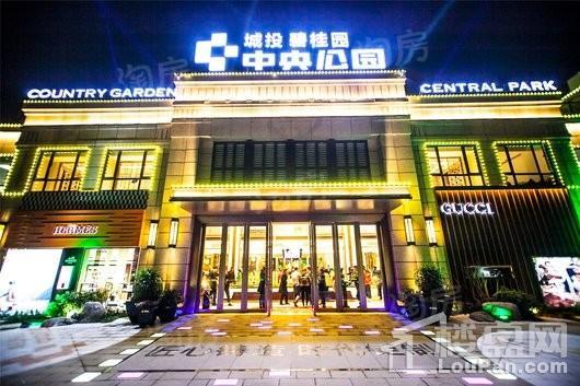 城投碧桂园·中央公园实景图