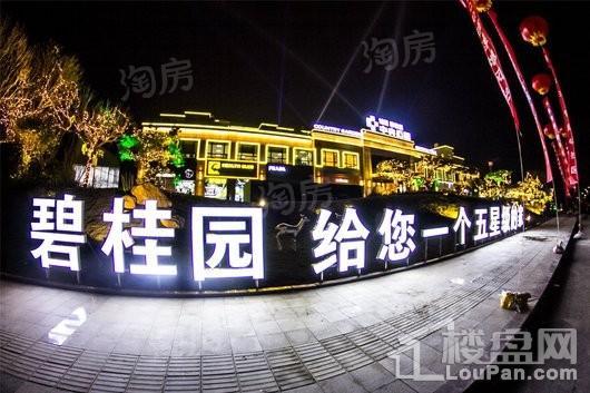 城投碧桂园·中央公园实景图