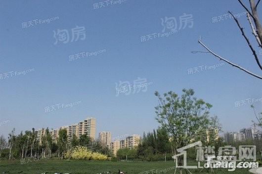 龙翔·御书坊配套图