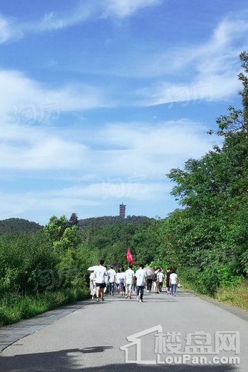 万振中国院子配套图