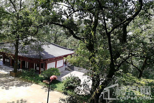 万振中国院子配套图