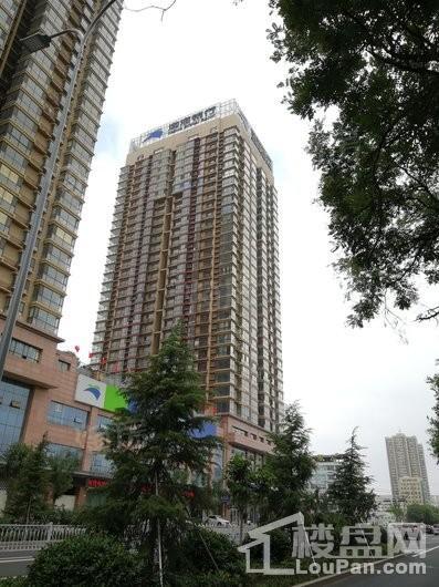 新世纪大厦实景图