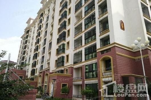 置城8号公馆实景图