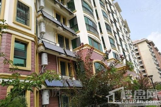 置城8号公馆实景图