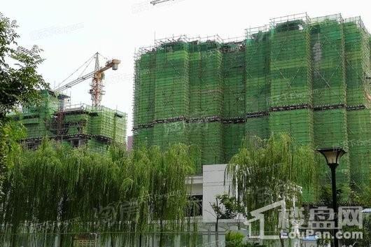 置城8号公馆实景图